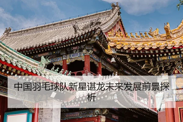 中国羽毛球队新星谌龙未来发展前景探析